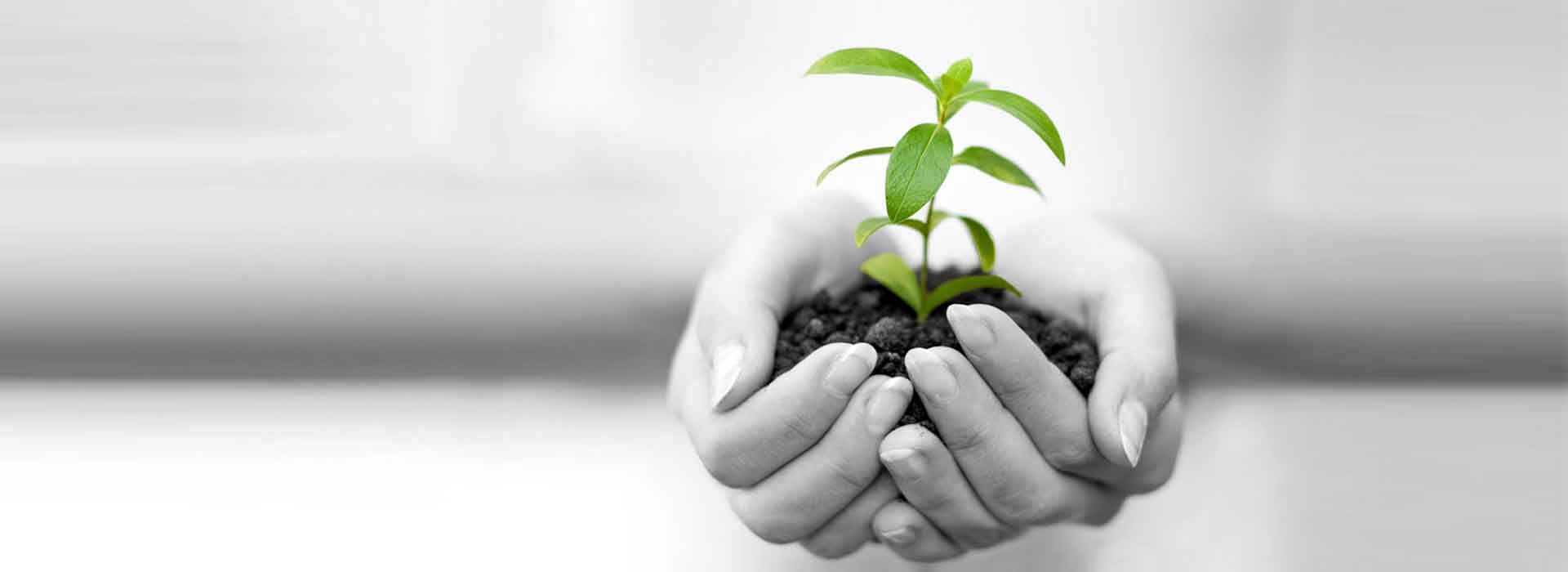 SVS MBA College Banner